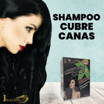 Shampoo Mi Color - Cubre Canas (Negro, Castaño o Rojizo)